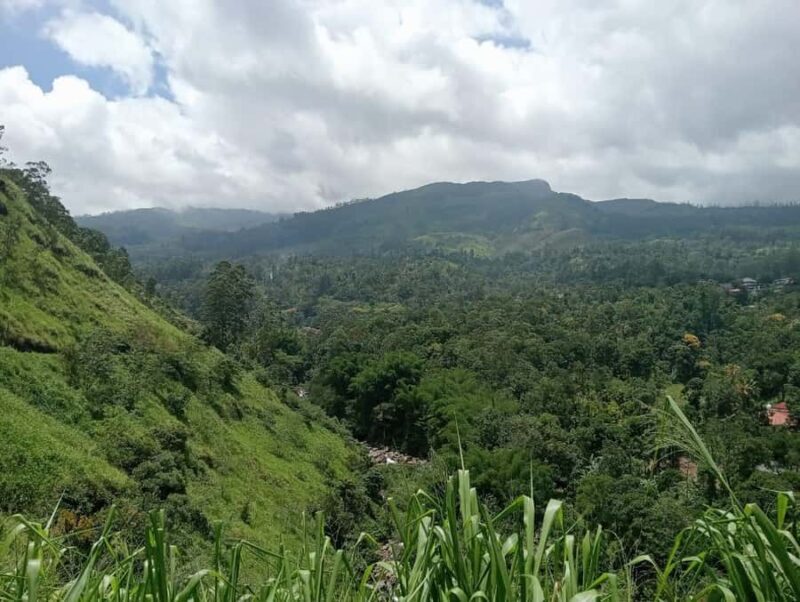 Nuwara Eliya: 8Hrs Tuk Tuk Tour to Waterfalls & Tea Tasting - Practical Considerations and Tips