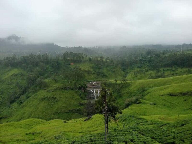Nuwara Eliya: 8Hrs Tuk Tuk Tour to Waterfalls & Tea Tasting - FAQs