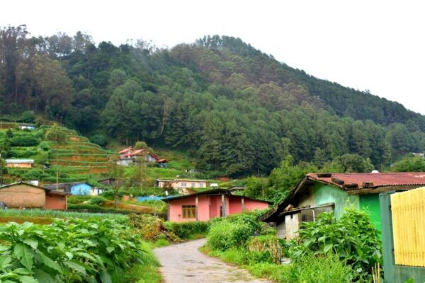 Nuwara Eliya: All-Inclusive Private Sightseeing Day Tour - Review Summary