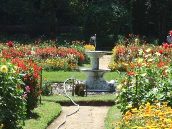 Nuwara Eliya: All-Inclusive Private Sightseeing Day Tour - Common Questions