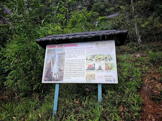 Nuwara Eliya; City Tour - Preparation and Recommendations