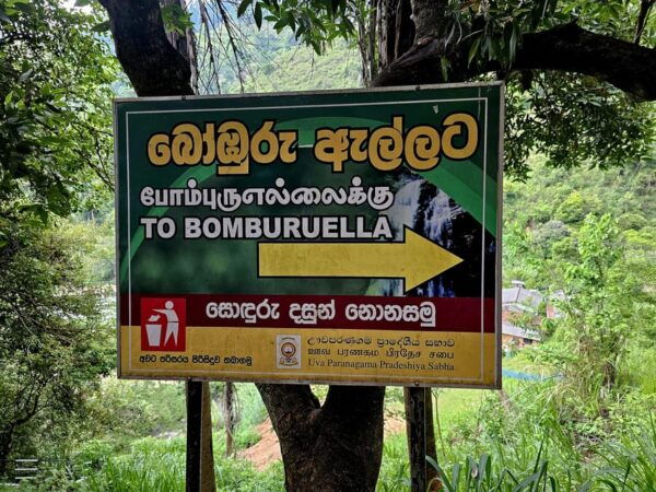 Nuwara Eliya; City Tour - Optional Activities