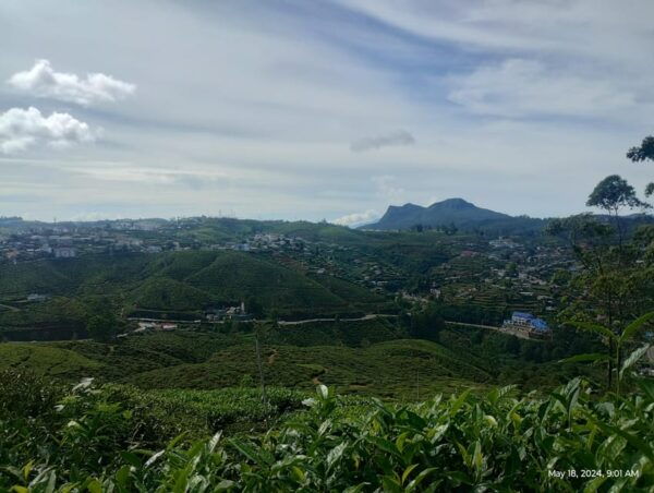 Nuwara Eliya; City Tour - Booking Information