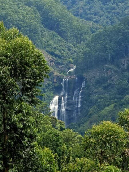 Nuwara Eliya; City Tour - Frequently Asked Questions