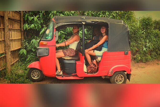 Nuwara Eliya City Tours Tuktuk - Who Is This Tour Best For?