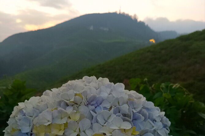 Nuwara Eliya City Tours Tuktuk - Final Thoughts