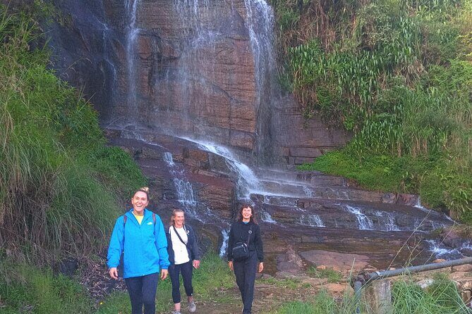 Nuwara Eliya City Tours Tuktuk - Who Is This Tour Best For?