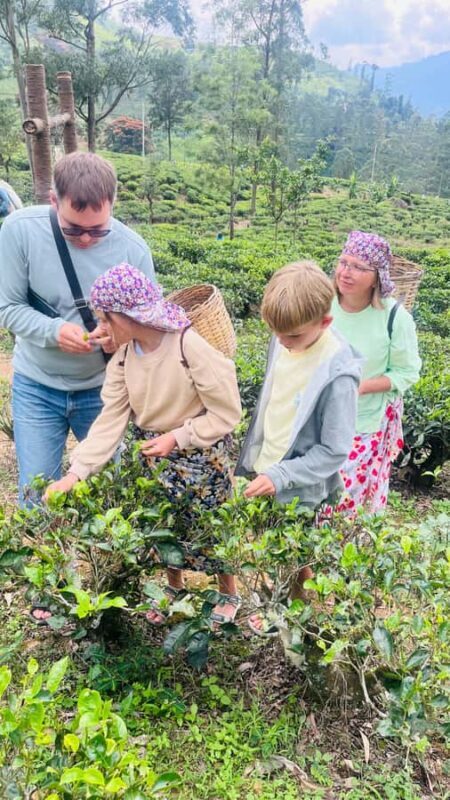 Nuwara Eliya: City Tuk-Tuk Tour and Tea factory visit - Final Thoughts