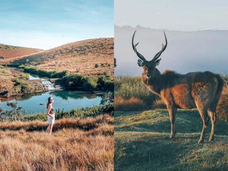 Nuwara Eliya: Cloud Forest Hike with Cliff Views - Final Thoughts