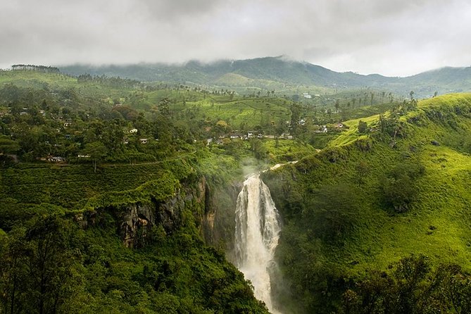 Nuwara Eliya Day Tour From Kandy With Ambuluwawa Tower,Tea Factry - Booking and Contact Information