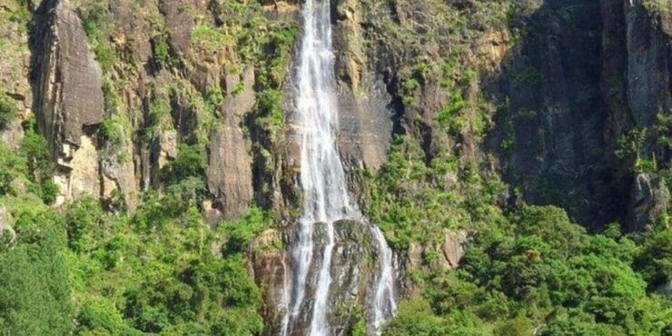 Nuwara Eliya: Explore Countryside by Tuk-Tuk! - Scenic Countryside and Tea Plantations