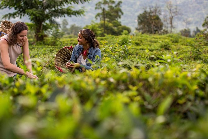 Nuwara Eliya From Kandy by Train - Frequently Asked Questions