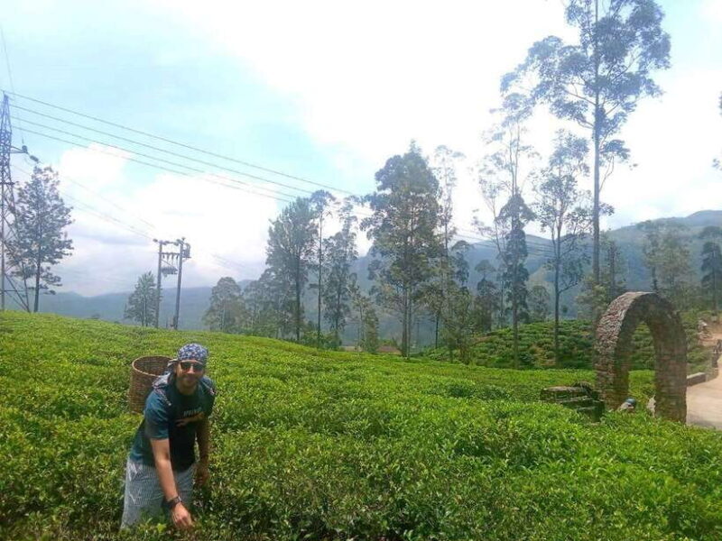 Nuwara Eliya Full day: 5Waterfalls, 2Tea Test & pick by TUK - Final Words: Is It Worth It?