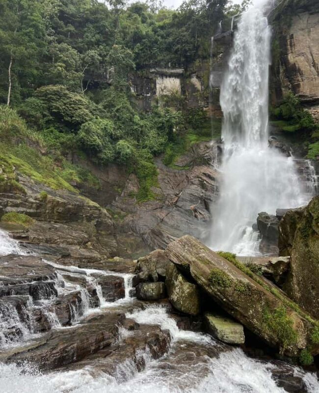 Nuwara Eliya: Hidden Falls & Tea A Local Journey Tuk Tuk - Final Thoughts: Who Is This Tour Perfect For?