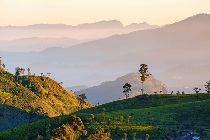 Nuwara Eliya Highlands From Kandy - Lush Hill Country Exploration