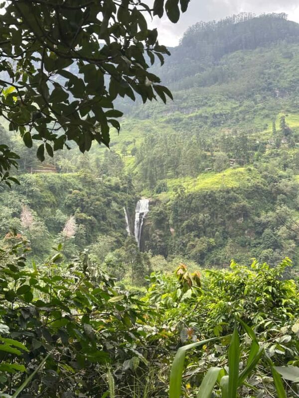 Nuwara Eliya Highlights: Tea, Coffee & Waterfalls - Exploring the Nuwara Eliya Tour: A Deep Dive