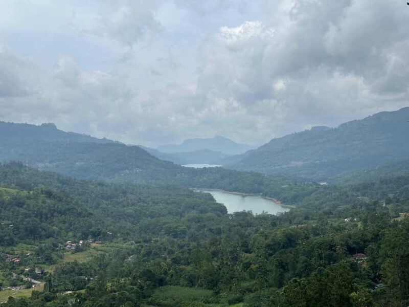 Nuwara Eliya Highlights: Tea, Coffee & Waterfalls - An Introduction to the Tour