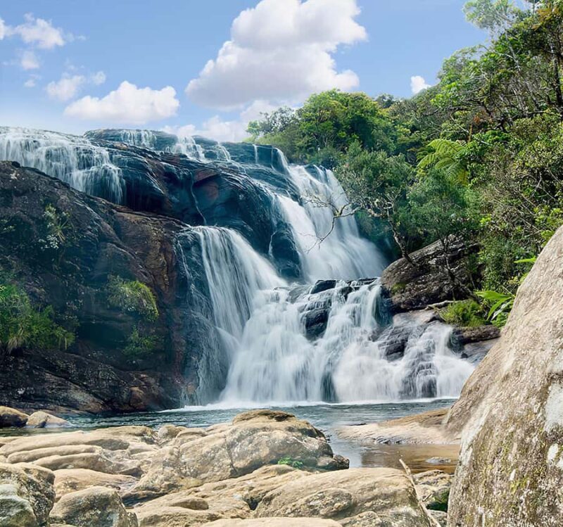 Nuwara Eliya: Horton Plains Guided Hike with Lunch - Who Will Love This Tour?