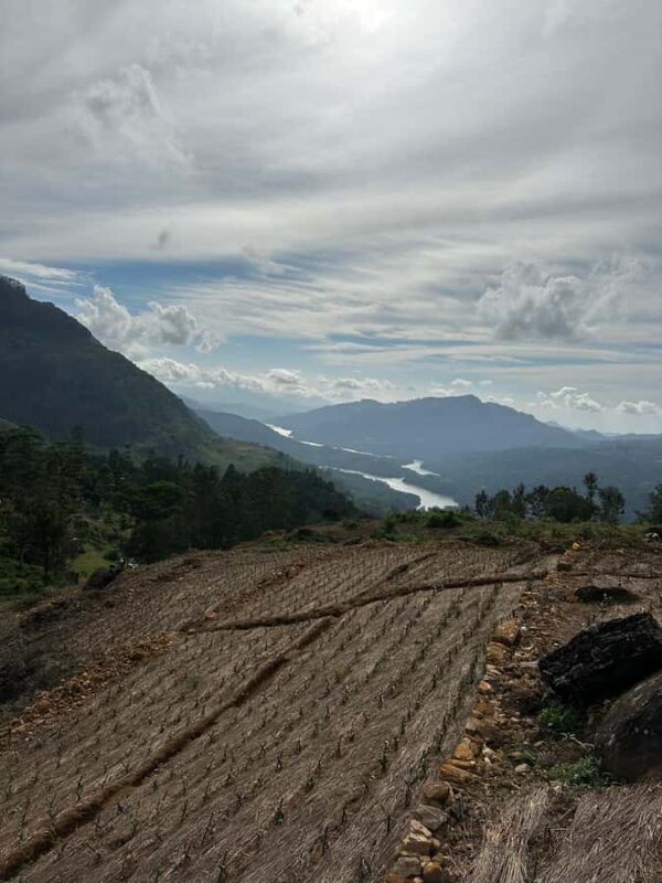 Nuwara Eliya: Premium Tea & Waterfall Tour - Private SUV - Good To Know