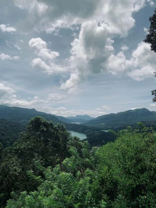 Nuwara Eliya: Premium Tea & Waterfall Tour - Private SUV - Introduction: An Easy Way to Discover Tea Country