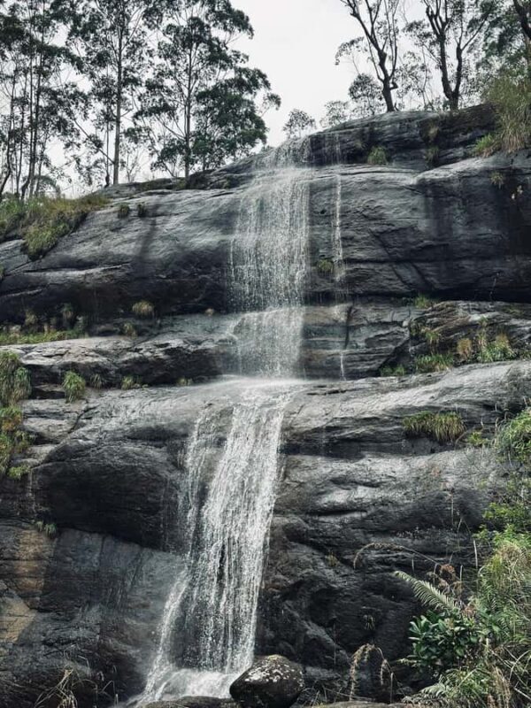 Nuwara Eliya: Premium Tea & Waterfall Tour - Private SUV - Final Verdict: Who Will Love This Tour?
