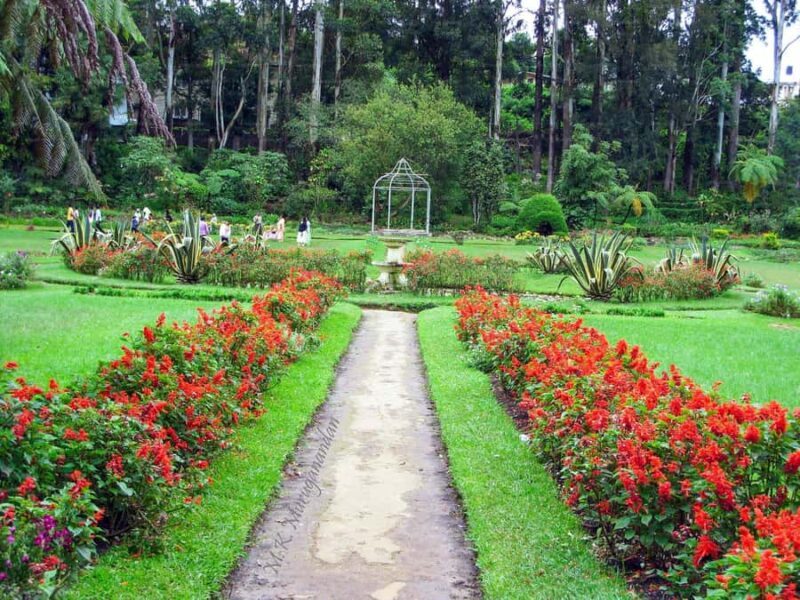 Nuwara Eliya: Private City Tour by Tuk Tuk - Discovering Nuwara Eliya’s Highlights