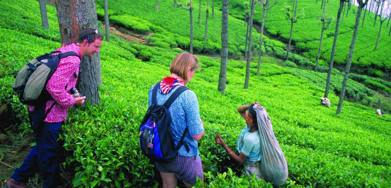 Nuwara Eliya Private Day Tour from Ella - At a glance: what you are paying for