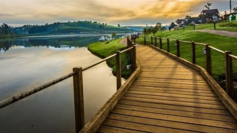 Nuwara Eliya Private Day Tour from Ella - From Ella into Nuwara Eliya’s high country