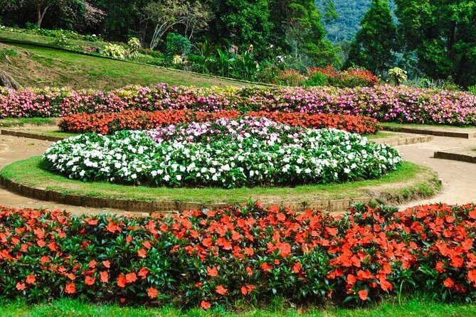 Nuwara Eliya Private Day Trip from Mirissa - Getting a Feel for the Tour