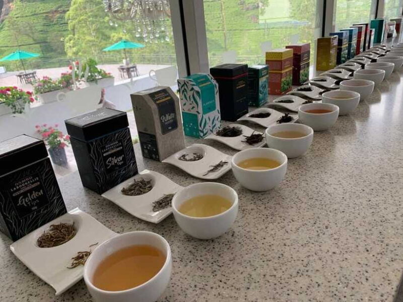 Nuwara Eliya: Private Sightseeing Tuk-Tuk Tour - Who Is This Tour Best For?