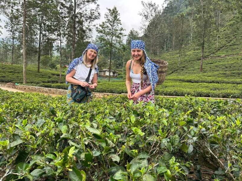 Nuwara Eliya: Private Sightseeing Tuk-Tuk Tour - final thoughts