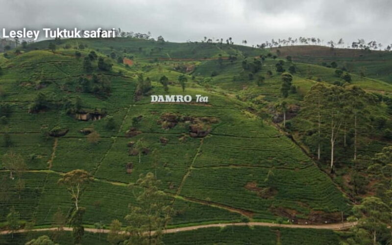 Nuwara Eliya: Sightseeing Tour and Drop With Local Guide - FAQ