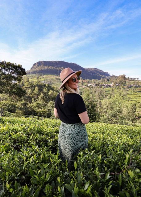 Nuwara Eliya: Sri Lanka Hill Country Day Trip From Kandy - Trip Highlights