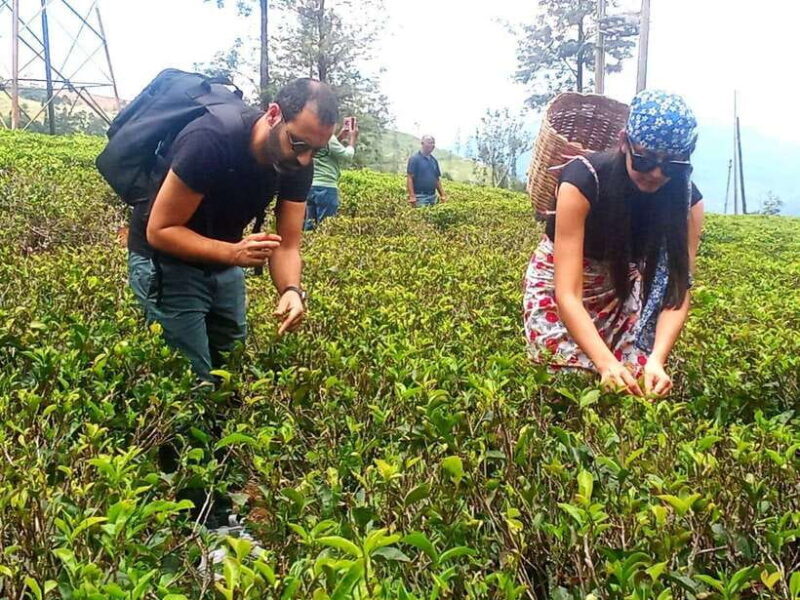 Nuwara Eliya: Tea Factory and Pickle Waterfalls Tuk Tuk Tour - The Sum Up