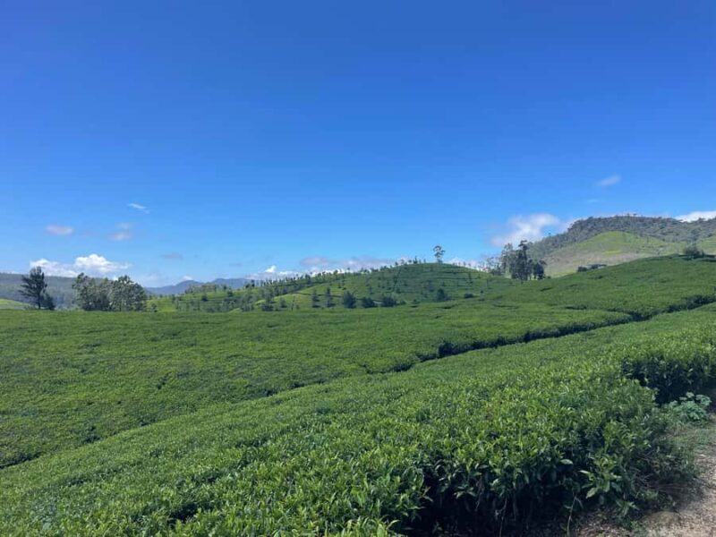 Nuwara Eliya Tea Plantation Hike with Village & Waterfall - Good To Know