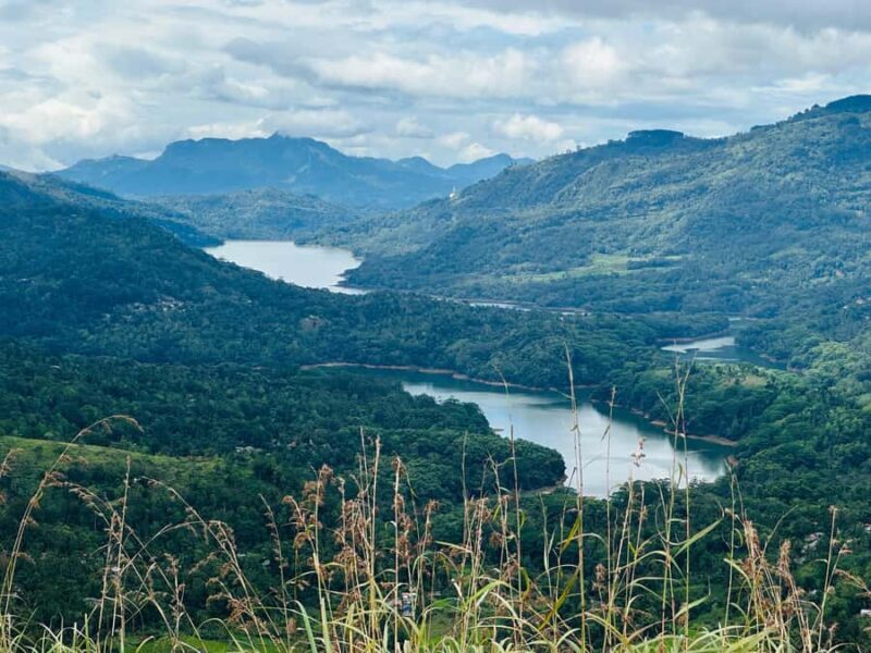 Nuwara Eliya: Tea Plantation Jeep Safari & Tea Making - FAQ