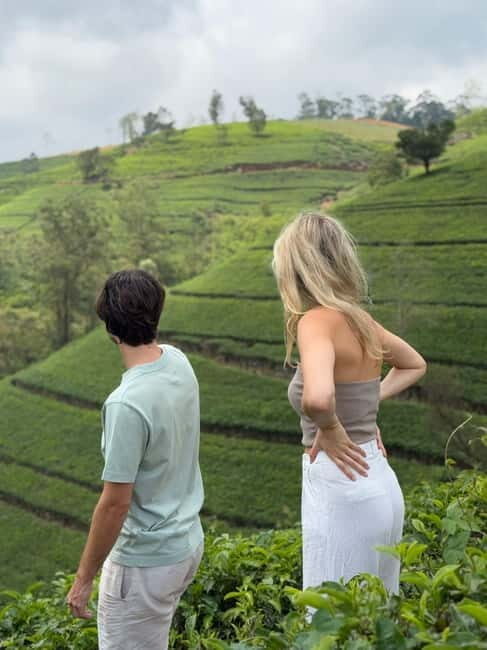 Nuwara Eliya Tea Visit & Ramboda Falls Tours with Taxis - Who Should Book This Tour?
