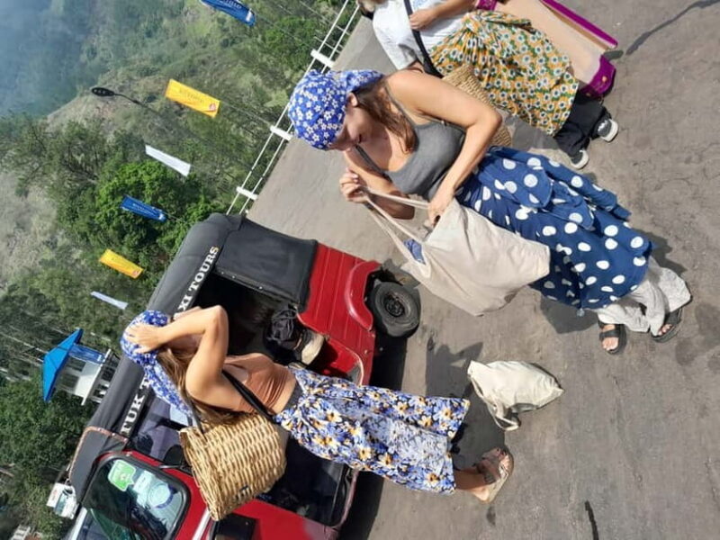 Nuwara Eliya Tea Visit & Ramboda Falls Tours with Taxis - Who Is This Tour Perfect For?