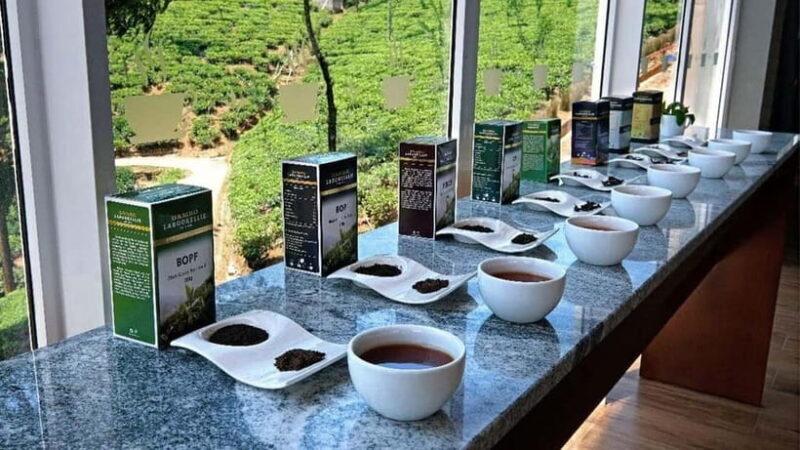 Nuwara Eliya to Kandy: Transfer with Waterfall & Tea Tour - Practical Details and Tips