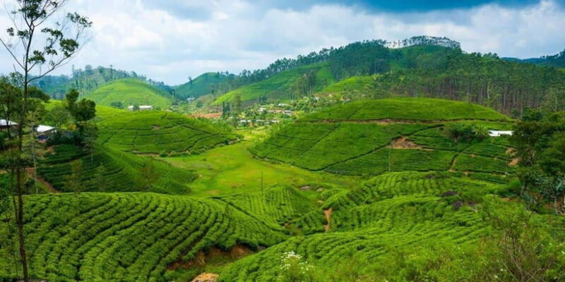 Nuwara Eliya Tour with Ramboda Waterfall, Ambuluwawa Tower - How the Itinerary Comes Together