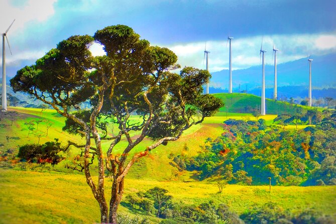 Nuwara Eliya Tours - Best Time to Visit Nuwara Eliya