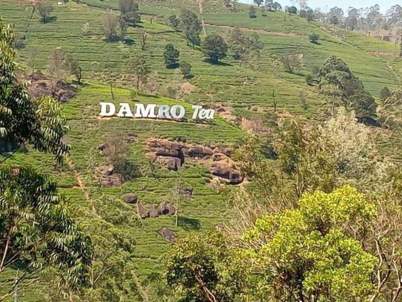 Nuwara Eliya Tuk Tuk Tour Little England - Final Thoughts