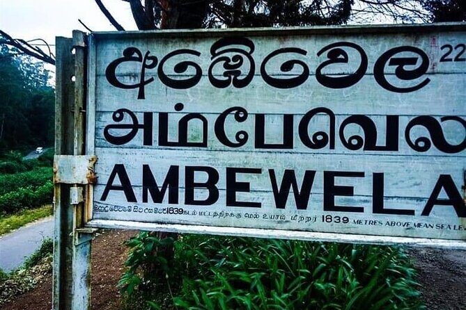 Nuwaraeliya (Nanuoya) - Ella Train Tickets (Starts from Ambewela) - Booking and Ticketing Experience