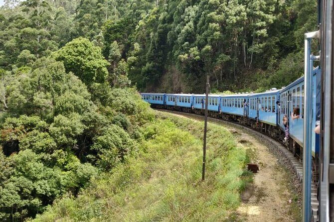 Nuwaraeliya (Nanuoya) - Ella Train Tickets (Starts from Ambewela) - The Practicalities: Transportation, Timing & Costs