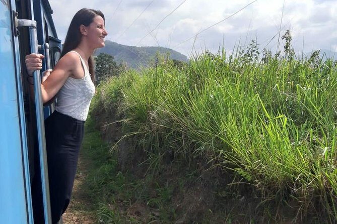 Nuwaraeliya (Nanuoya) - Ella Train Tickets (Starts from Ambewela) - The Sum Up