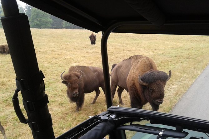 NW Trek - See Wild Animals in Natural Habitat - Overview of NW Trek Experience