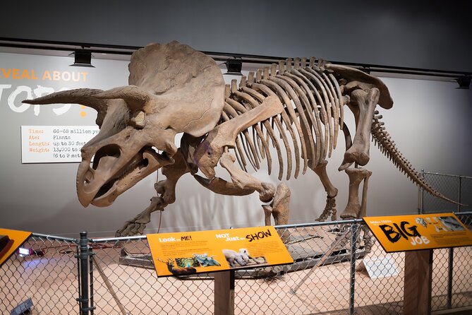 NYC American Museum of Natural History Private Family Tour - Tour Pricing and Booking Details