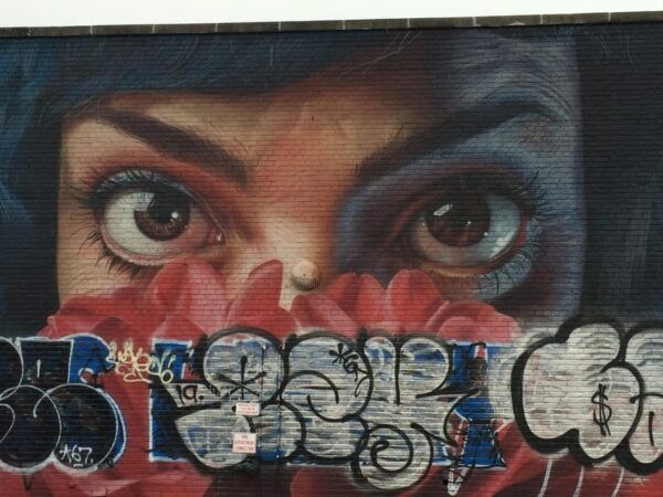 NYC: Bronx, Queens, and Brooklyn Guided Tour by Coach - Diverse Neighborhoods Explored