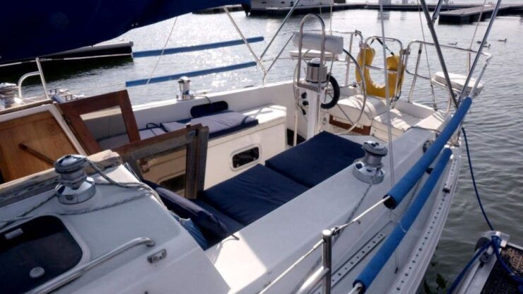NYC: Brooklyn Sightseeing Sailboat Cruise - Activity Details