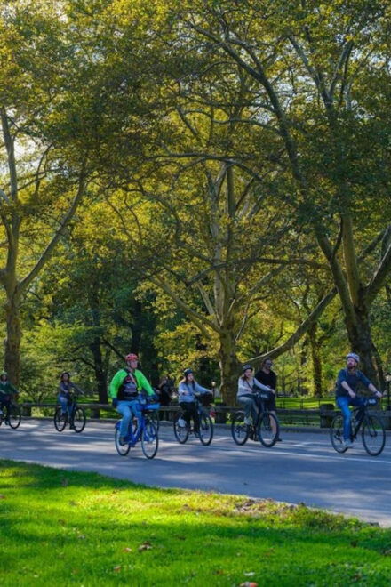 NYC: Central Park Bike Tour & 30+ Top Sights Walking Tour - Bike Tour Details